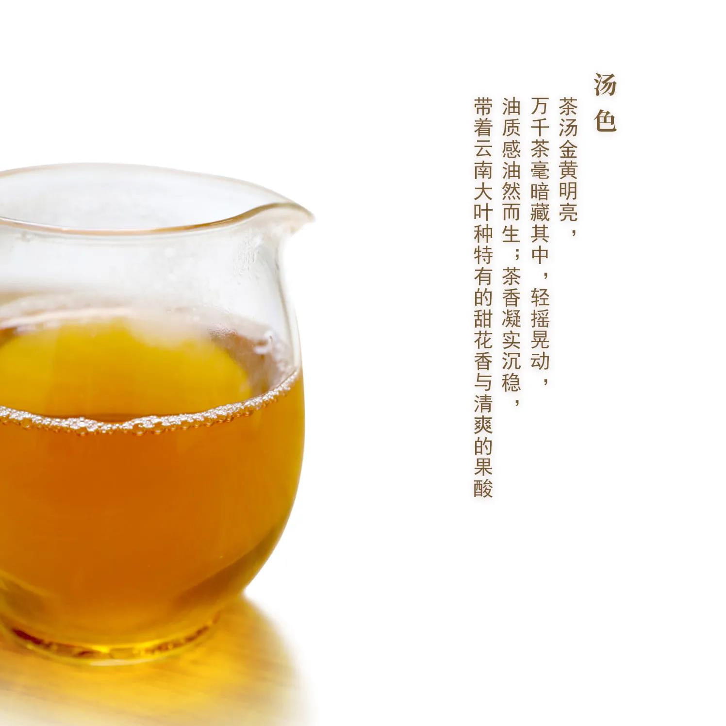 今大福2021年生态一号青饼