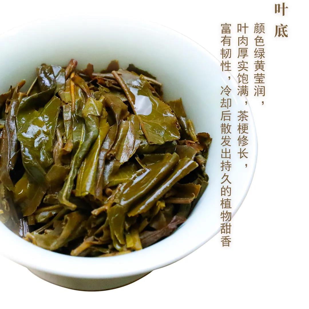 今大福2021年生态一号青饼