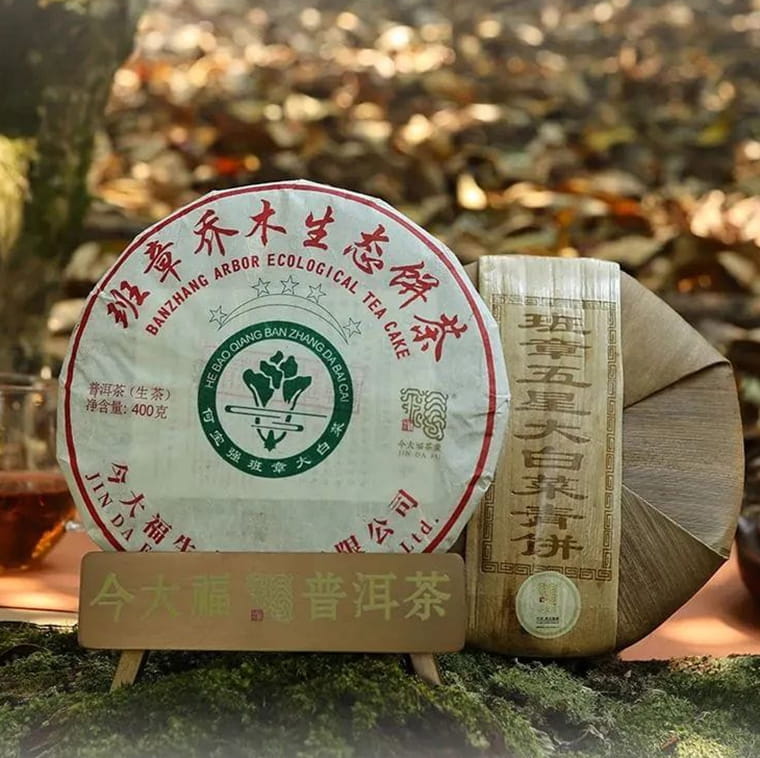 今大福2023年班章五星大白菜青饼