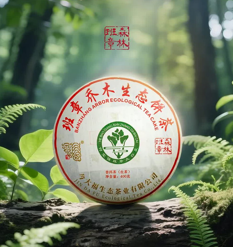 今大福2025年森林班章青饼