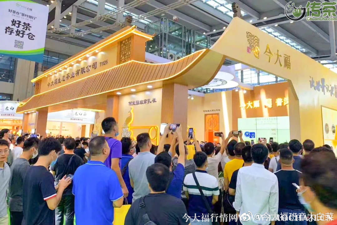 抓住最新今大福茶行情，尝尝最新上市茶品