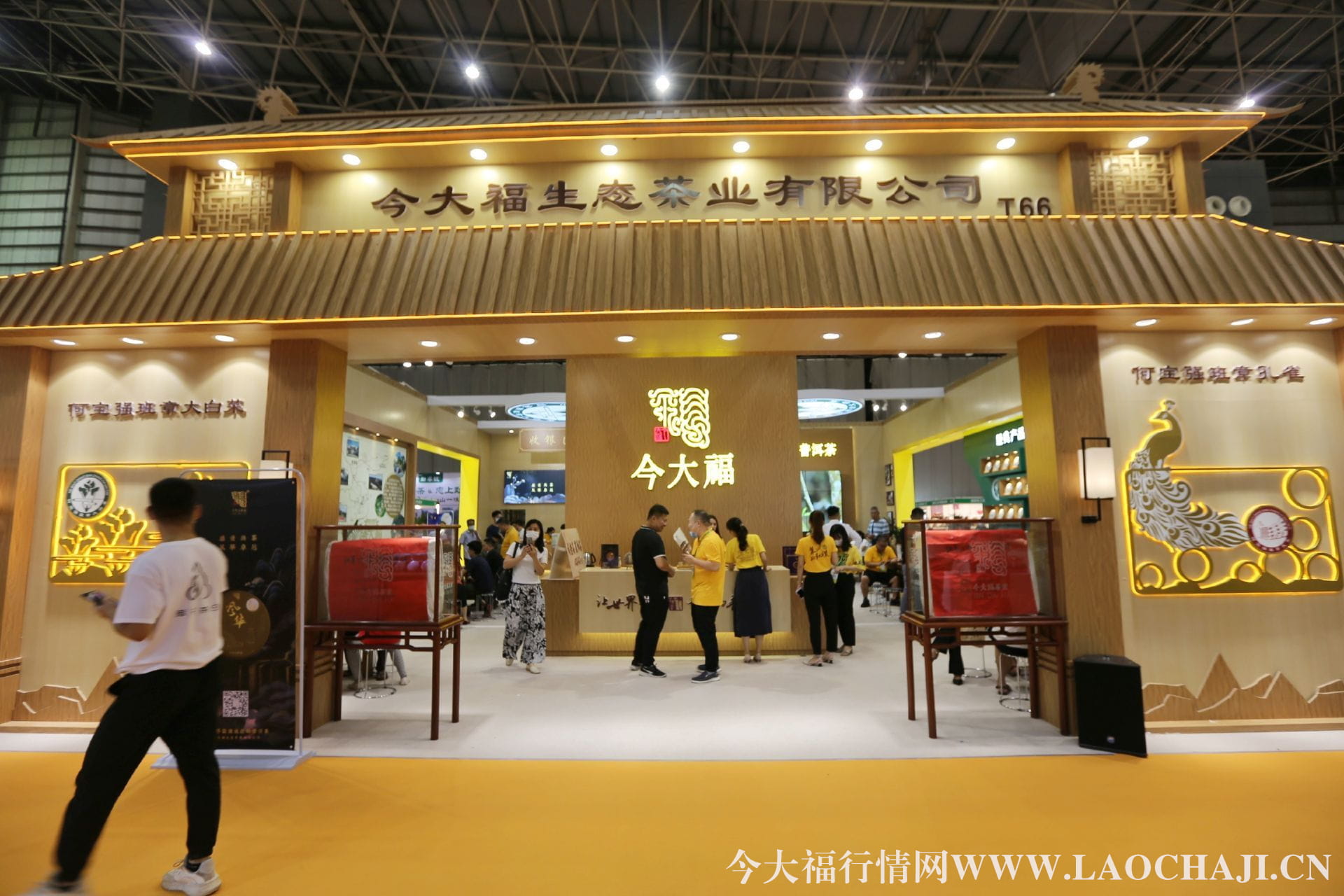 今大福普洱茶