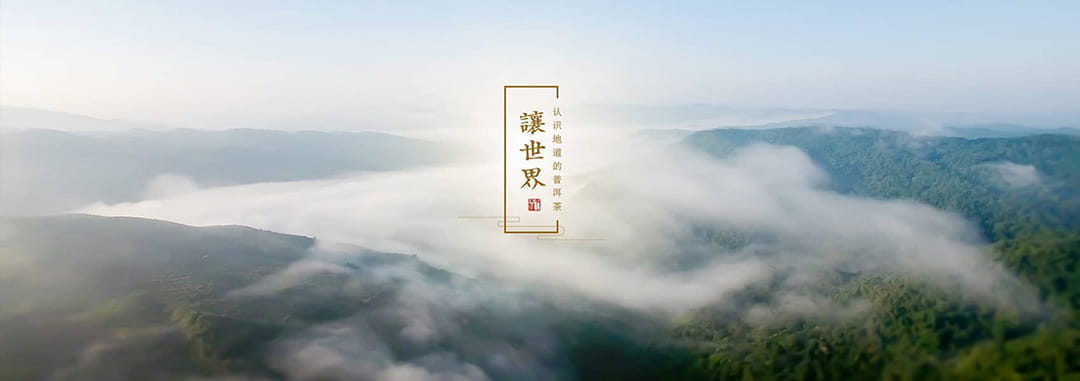 今大福2012年珍品茶芽青砖-让你品味不一样的茶道文化
