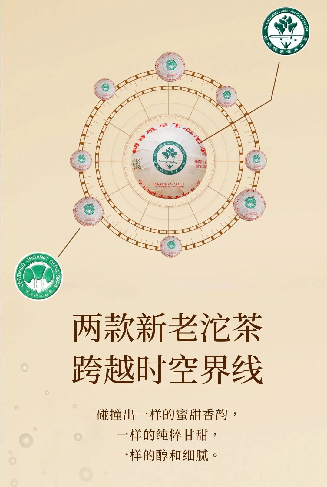 今大福2021年班章生态青沱（灰纸沱）