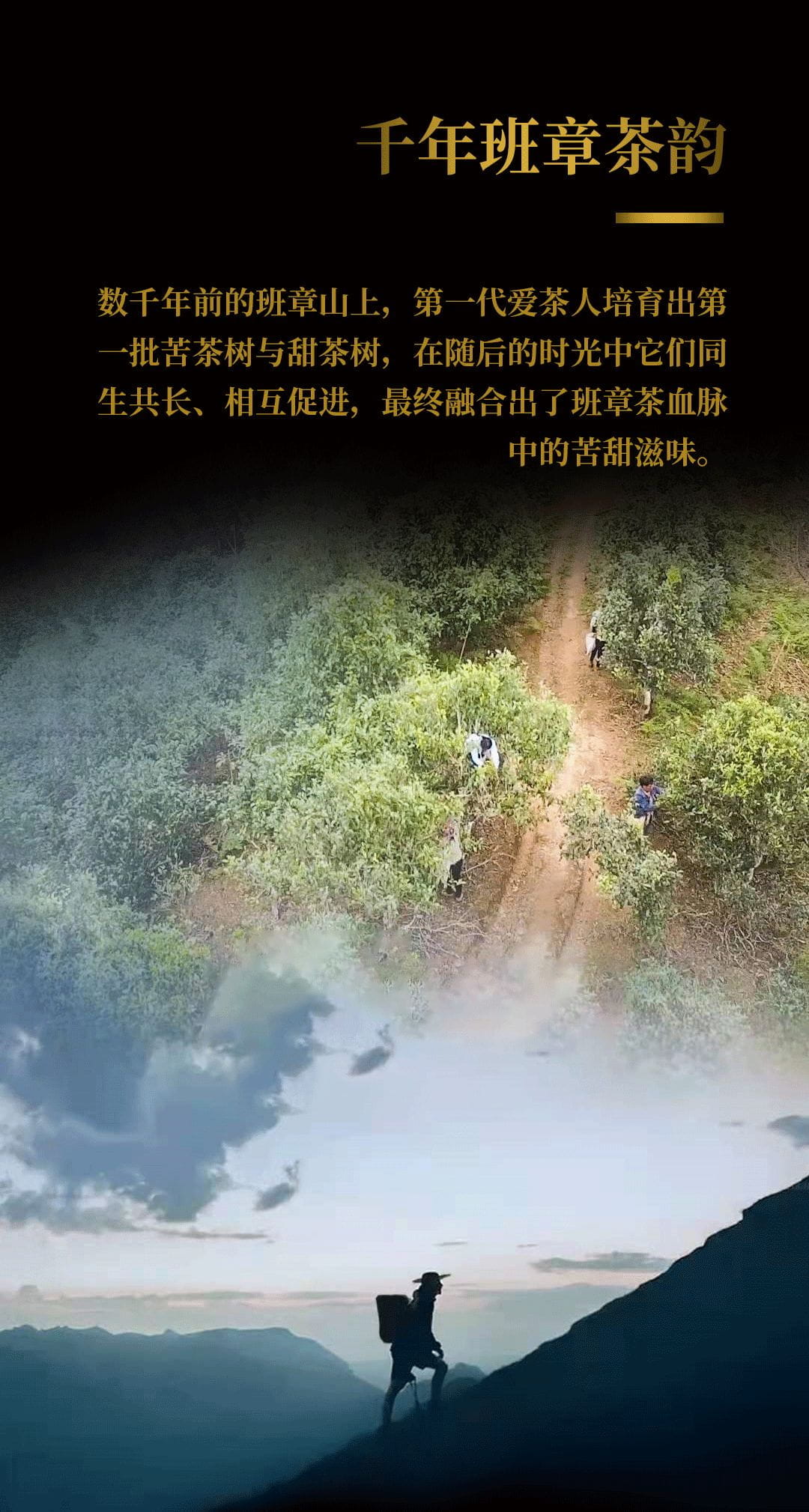 今大福2020年班章起福金砖