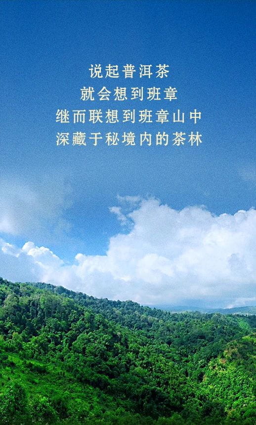 今大福2021年班章秘境青饼