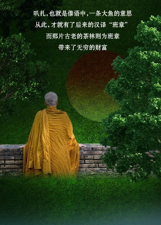 今大福2021年班章秘境青饼