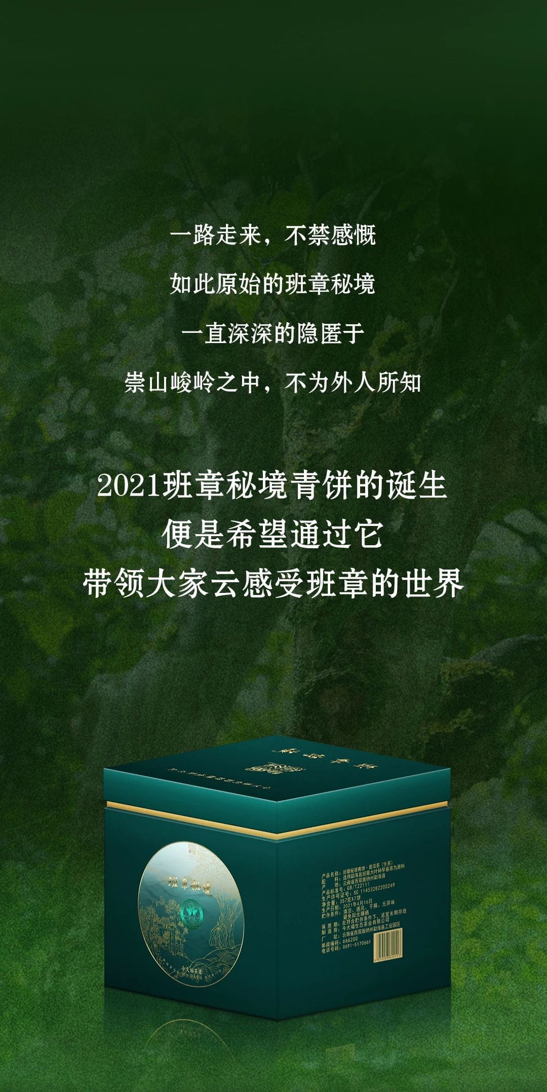 今大福2021年班章秘境青饼