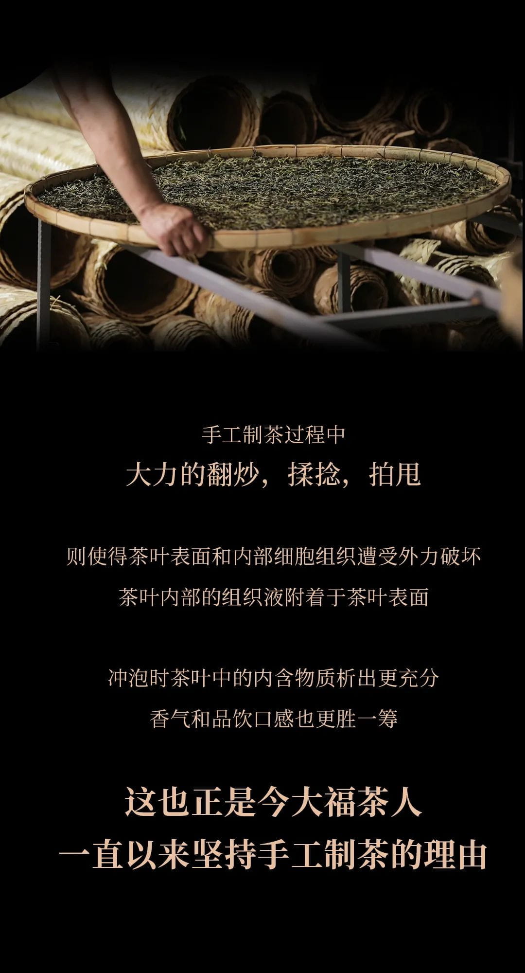 今大福2021年班章四星大白菜青饼