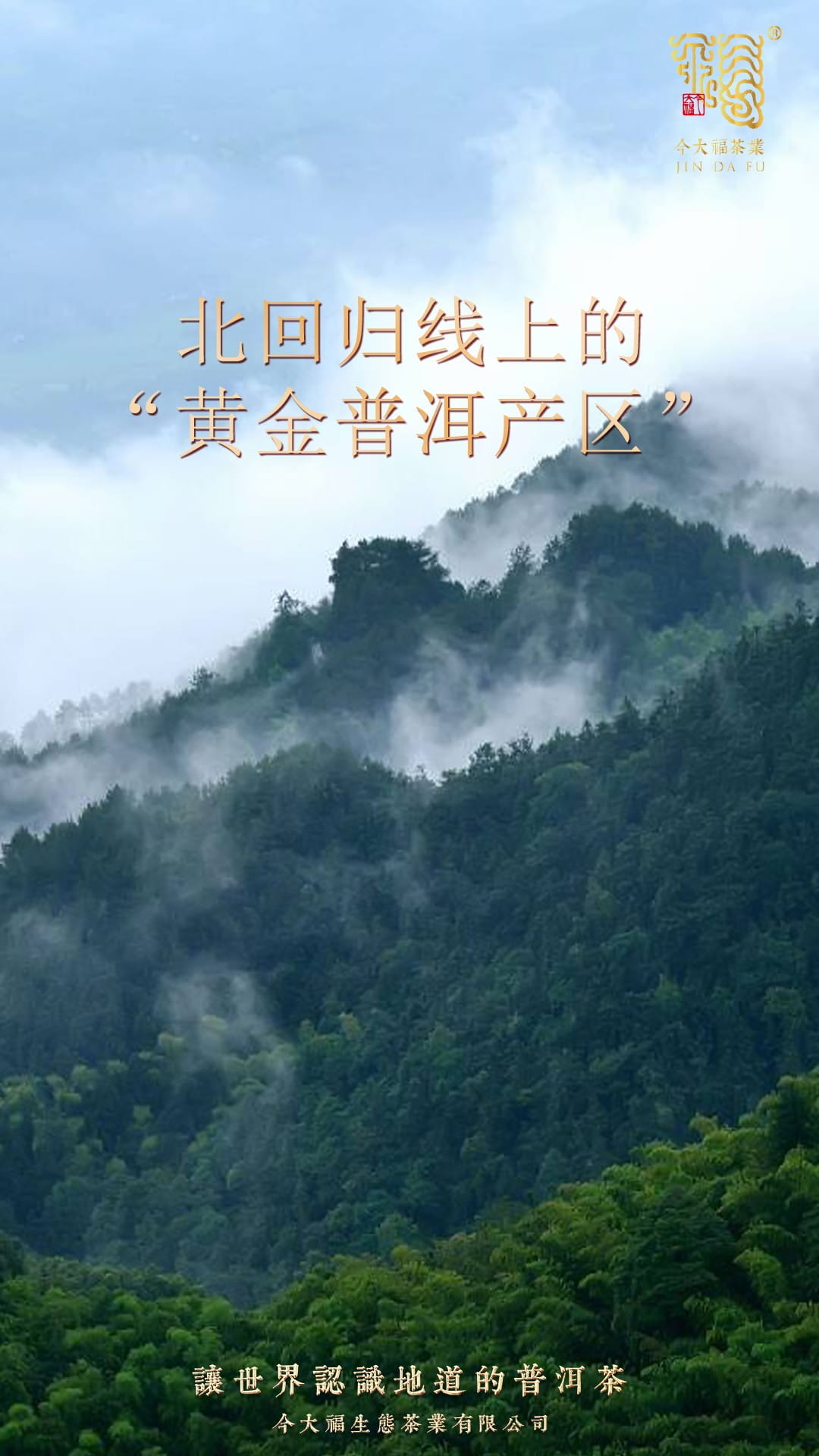 今大福2020年大象生态熟饼