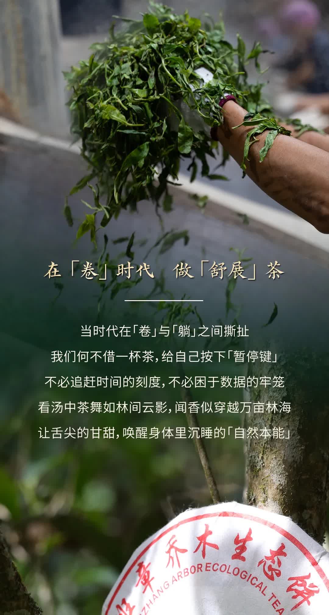 今大福2025年森林班章青饼