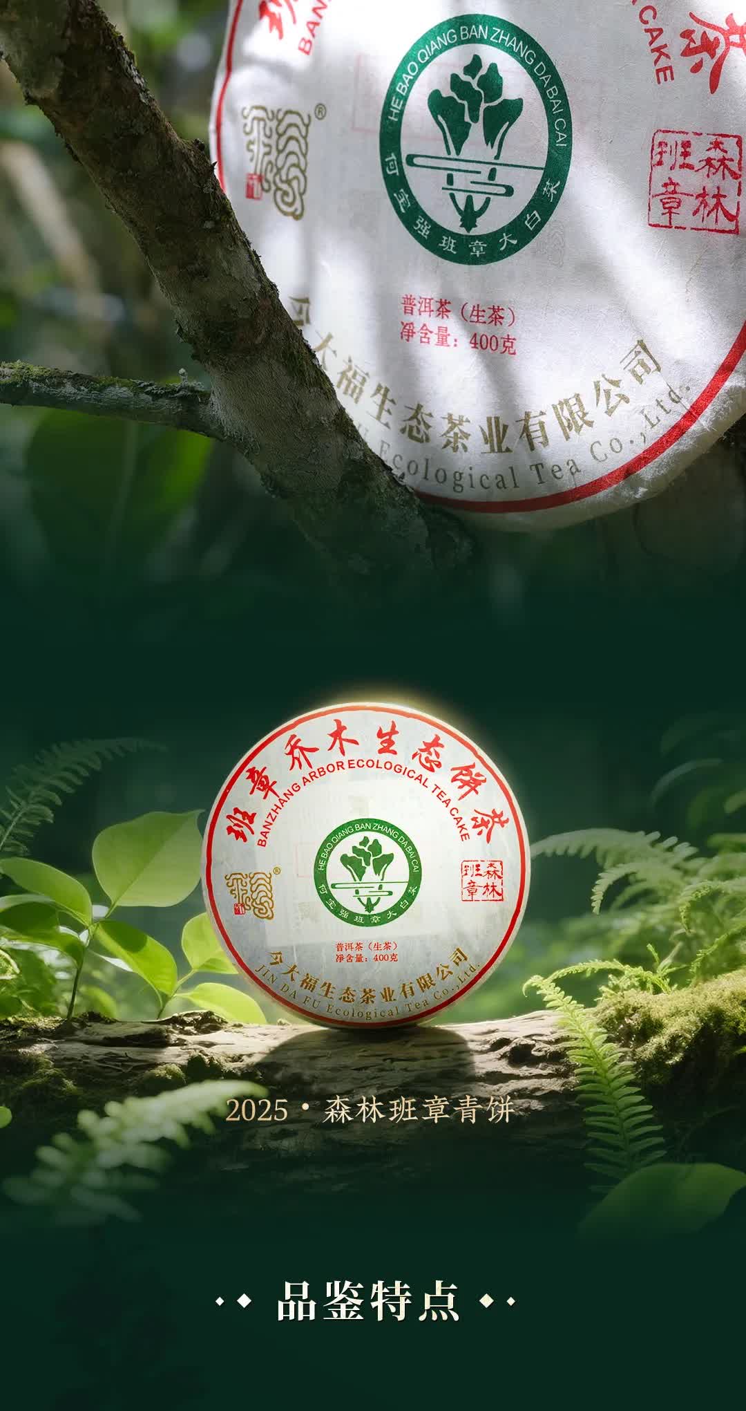 今大福2025年森林班章青饼