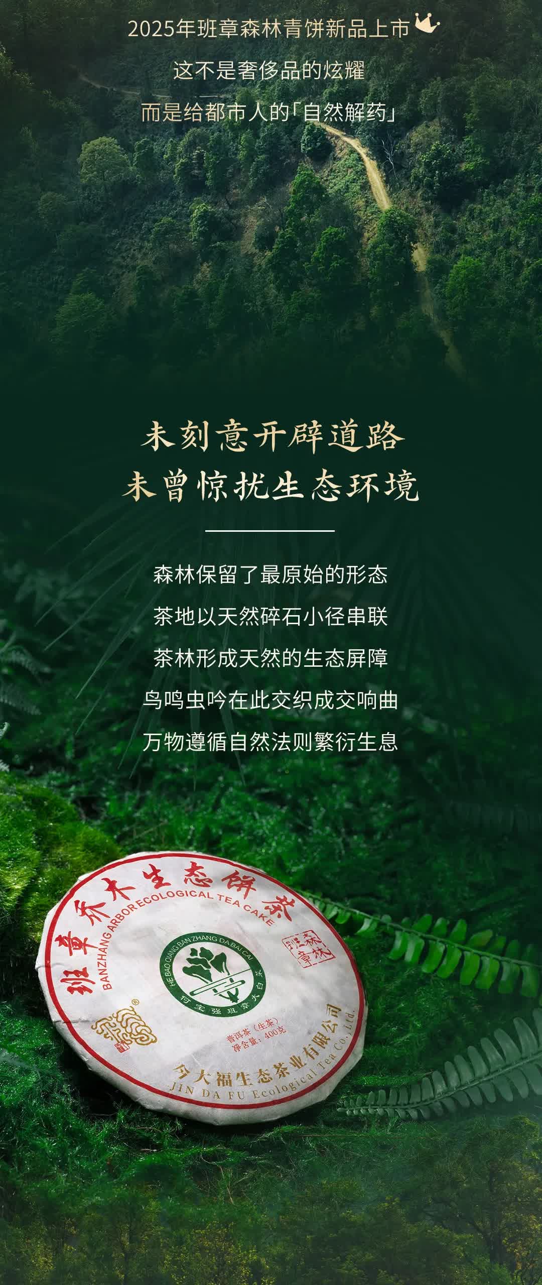今大福2025年森林班章青饼