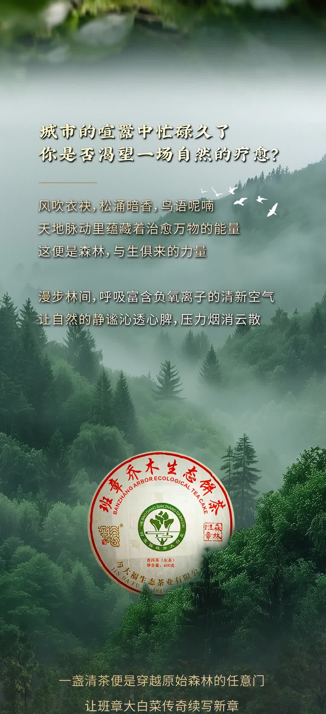 今大福2025年森林班章青饼